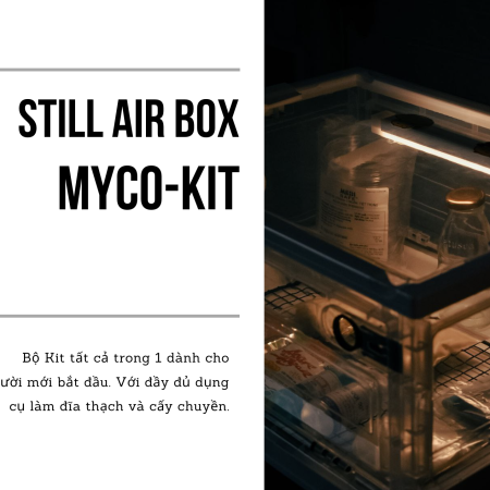 Still Air Box - Myco Starter Kit
